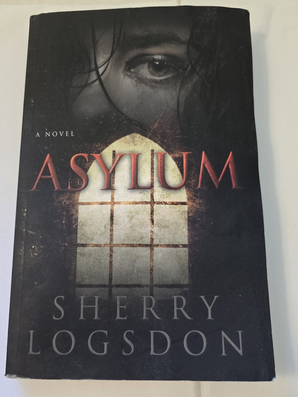 Signed Asylum Sherry Logsdon 2014 Paperback Novel WinePress Publishing